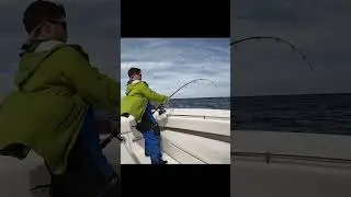 Notorious... Light Tackle Bluefin Tuna Fishing Cape Cod