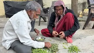 બધાય માંદા | Back to Daily Routine Life | Shanti Odedra 