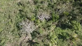 Mlitlit / Mount Malarayat - First Flight
