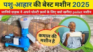 New animal feed making machine 2025 || pallet machine for poltry businesses || #animalfeeds