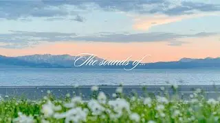 Soft Piano for a Quiet Soul