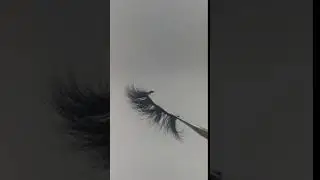 3d mink strip lashes, private label mink eyelashes