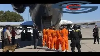 Dangerous Drives Prisoner Transport  documentary hot