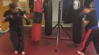Joe Lewis Fighting Systen (JLFS) - Bennie Brisco on the heavy bag