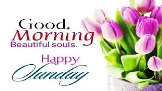 Blessed Sunday | Sunday wishes |  Sunday WhatsApp status | Blessing Message | morning status