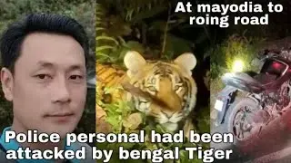 Tiger attacked police personal on the way to Anini to Roing. Found dead #roing #arunachalpradesh