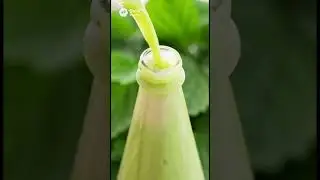 물만 더하면 허브 막걸리?! 🌿 깻잎 커스텀 하얀술 만들기 | Perilla Leaf Sparkling Makgeolli Recipe