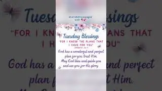 💕Tuesday Blessings: Plans for You