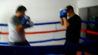 Erol Bal 2010