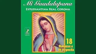 Niña