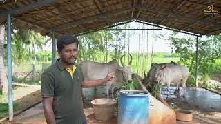 🌱 GreenMark&rsquo;s Natural Farming Process | From Soil to Soul &ndash; Farming Without Chemicals