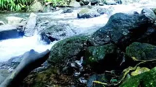 Sleep BETTER Tonight with Soothing Waterfall Sounds and Birdsong
