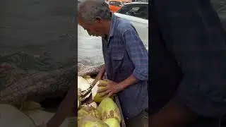 Кокосовый человек в Индии!#shorts#india