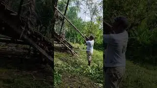 Naka uli sa yutang natawhan
