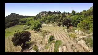 The Art of Assembling a wine - A search for harmony