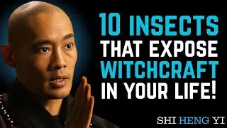 10 Insects That Warns You Of WITCHCRAFT In Your Life- || Shi Heng Yi Motivation