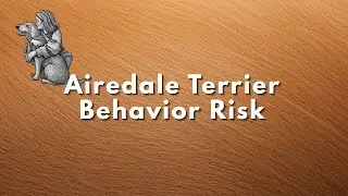 Airedale Terrier   Alpha Behavior Risk