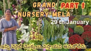 గ్రాండ్ నర్సరీమేళా హైదరాబాద్ మొదలైంది|అదిరిపోయే మొక్కలు|జనవరి 29th Necklace road #plants #gardening