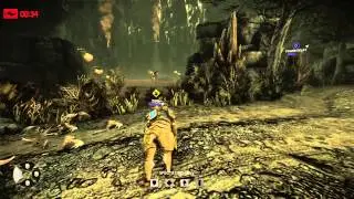 Evolve in a nutshell