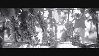LI Wine   Ospreys Dominion