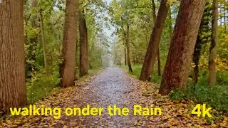 Walking Under The Rain - A Short Film 4k video Rain Sound 