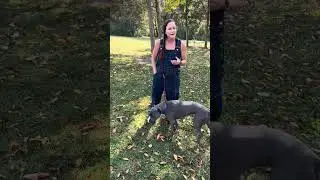 The Canine Life Coach - Name Game