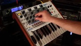Timbre Wolf and Tom Cat: Analog at Work
