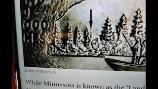 The Minnesota Extra Tree Quarter.
