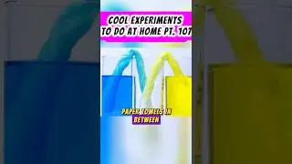 COOL EXPERIMENTS TO DO AT HOME PT. 107  #facts #diyscience #coolexperiments #scienceexperiments