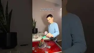 Weekend science project at home