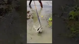 Best Tata fishing 😯😯