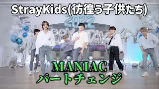 【彷徨う子供たち】スキズがパートチェンジしたら目が足りなかった件