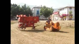 Trebbiatura dagli amici di Spigno!