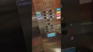 Really bad experience at Harry's in AC(2)