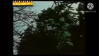 ghoom rahe Maya thagni thag legi Teri gathariya re moh pinjara yee jaag sara biti jae umariya re