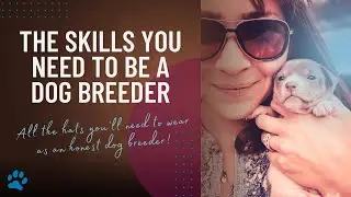 What Skills Do You Need to Be a Dog Breeder?
