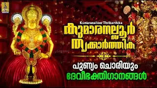 കുമാരനല്ലൂർ തൃക്കാർത്തിക | Kumaranalloor Thrikarthika | Devi Devotional Songs #devi #thrikarthika