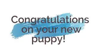 Puppy Development