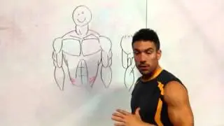 Function and Training of the Biceps - Coach Rob - 3STRONG