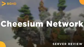 CheesiumNetwork - Minecraft Server Review