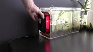 Algae Filter