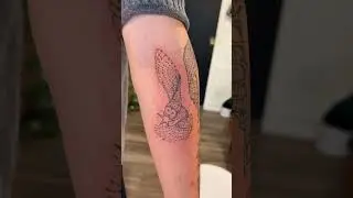 Such a fun tattoo to do!  #shortsvideo #blacktattoo #blackworktattoo #blackandgreytattoo