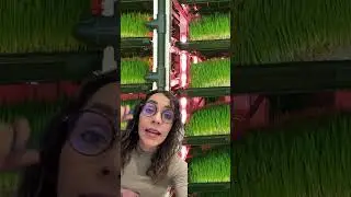 El Forraje Verde Hidrop&oacute;nico...