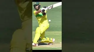 unknown cricket 🏏 rule