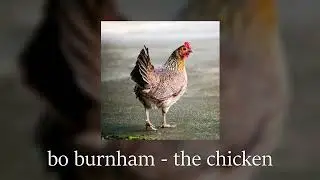 bo burnham - the chicken // slowed & reverb