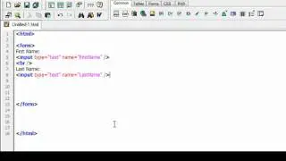 HTML Editing & Programming Tutorial -9- Forms + New Channel Info
