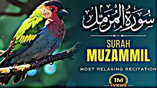 SURAH MUZAMMIL - سورة المزمل || Beautiful and Heart trembling Quran Recitation By MUNAEM BILLAH