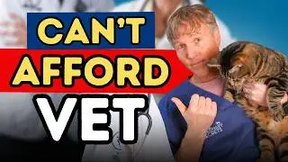 When You Can’t Afford the Vet: A Vet’s Honest Advice
