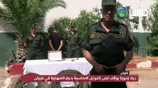#غليزان توقيف شخص يقوم بسرقة الكوابل النحاسية مع حجز 233 كلغ نحاس بزمورة.