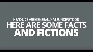 Get Rid of Head Lice- Lice Clinics of America Connecticut & Hudson Valley